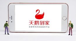 营收7亿亏6亿，赴美上市的天鹅到家能飞多高？