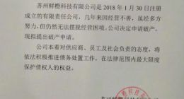 无法摆脱经营困境 同程生活申请破产