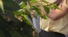 realme Pad平板电脑真机照泄露：这将是今年的主流设计