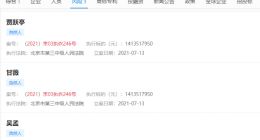 贾跃亭甘薇被强制执行超14亿