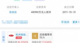 娃哈哈子公司被司法冻结52万股权