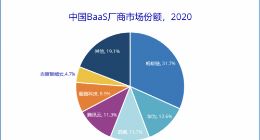 IDC发布中国BaaS市场份额报告：蚂蚁链、华为位居前两名
