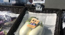 皮薄、肉厚、籽少 “盒马村”的白茄子火了