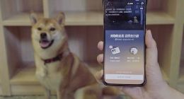 蚂蚁保险平台上线宠物防走丢功能