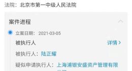 陆正耀被限制高消费