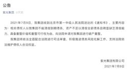 紫光“芯”碎启示录：资本造芯急不得