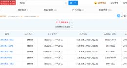 乐视网被执行总金额超20亿