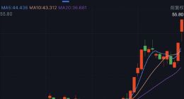 连续20CM涨停后，最火锂电股业绩骤降！利润纯靠政府补贴？