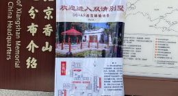 “接地气”的5G应用为什么“没人气”？