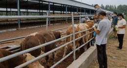 万向区块链与恒丰银行合作，用生物资产解决融资难问题