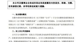 中鼎股份：子公司获理想汽车X03项目定点 生命周期总金额约11亿元