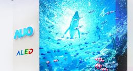 友达光电2021年第二季归属母公司净利新台币195.3亿元