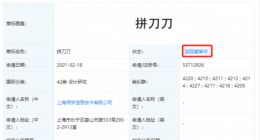 拼多多申请拼刀刀商标被驳回复审