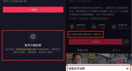 抖音上线“帐号处罚公示”功能 提升违规打击工作透明度