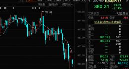 “医疗器械茅”再度大跌，单月市值缩水近千亿，机构喊话：源于资金跷跷板效应