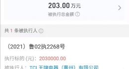 TCL王牌电器惠州公司成被执行人，执行标的203万