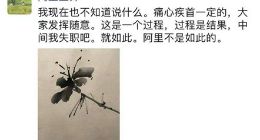 阿里巴巴市场公关委员会主席王帅：痛心疾首是一定的