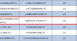 达达集团入选国家新型信息消费示范项目