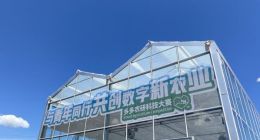 多多农研科技大赛：科技改变农业的“世界样板间”