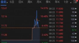 爱回收二季度营收同比增长56.2% 盘前股价一度上涨超12%