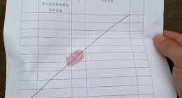 林某钦家属：蔚来涉嫌帮助毁灭、伪造证据案获受理