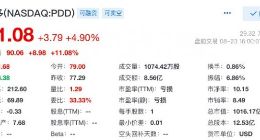 拼多多二季度营收230.5亿元 同比增长89%