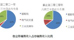 赛晶科技公布2021年中期业绩 销售收入下降28.6%