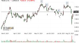 汽车电动化浪潮下 日本电装预计电动车部件收入四年翻番