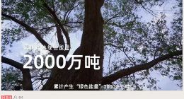 全国低碳日 蚂蚁森林联合百家企业开启“绿色能量行动”