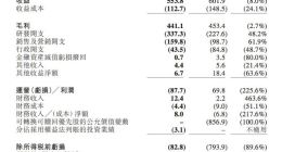 祖龙娱乐上半年亏损8583.5万元 同比减少约89.1%