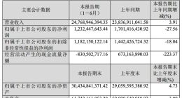 闻泰科技2021年上半年净利12.32亿元 同比降27.56%