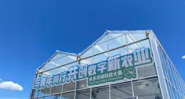 拼多多选了一条正路