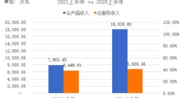 青云科技2021年上半年云产品收入占比超7成