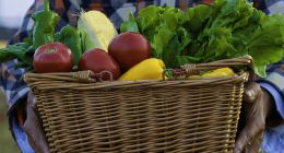 同城零售：柴米油盐“上网”的故事，讲得如何了？