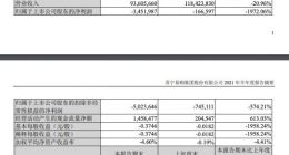 苏宁易购上半年营收936.06亿元 零售云加盟店新开1381家