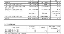华熙生物上半年营收19.37亿元 同比增幅104.44%