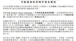 京东智能产业发展集团拟收购中国物流资产26.38%股份