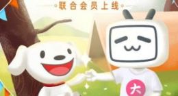 京东PLUS会员联手哔哩哔哩推出联合会员卡