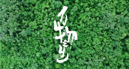 8K生态人文纪录片《万物之生》先导片发布 咪咕视讯与4K花园联合出品