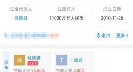 贵人鸟关联公司成被执行人 执行标的超5000万元