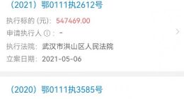 武汉枪击案雷某已成老赖 其公司已被吊销