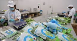 4年布局100余基地 盒马有机菜实现“3元起”