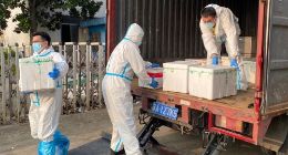 近40天时间里 阿里巴巴社区电商向扬州运送物资182吨