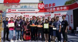 2021年中国农民丰收节正式开幕，拼多多联动央视晚会，与全国人民共庆丰收