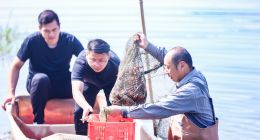 五省连线喜迎丰收：水产肥美、果实累累，农产品搭上科技快车