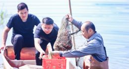 各地直播连线庆丰收 专家点评：科技在倡导农业绿色生产上大有可为