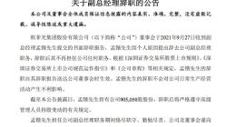 欧菲光35亿元定增落地 副总经理孟锴辞职