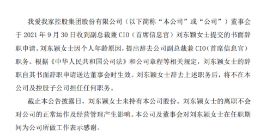 我爱我家副总裁兼CIO刘东颖辞职，称系个人年龄原因
