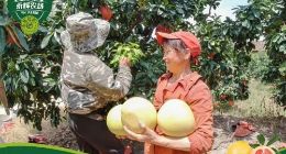 永辉发布国庆节数据 户外用品销售同比增长近70%