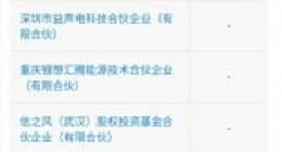 小米、OPPO投资赣锋锂电，后者从事于新型锂离子电池的研发等